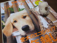 ワンコのみなさんへ。