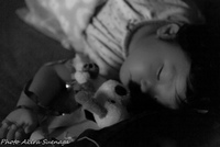 Photo Album　[94]