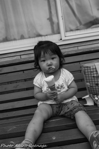 Photo Album　[95]