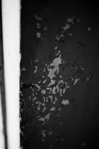 Photo Album　[92]
