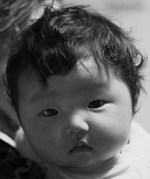 さくらパパ