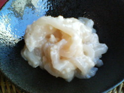 焼津いかの白造り♪