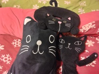 黒ネコの会もがんばってるよ！