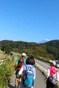 キウイ下見遠足ラン