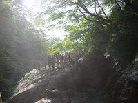 虹と緑・しずおか発会式☆