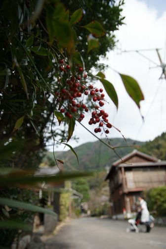 撮影会