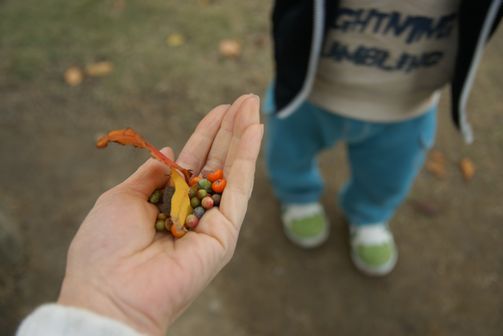 お散歩写真②