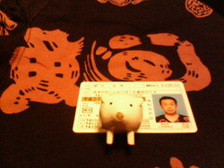 運転免許更新！
