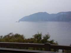 駿河湾の魚料理♪