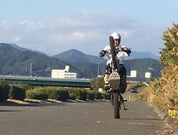 TLR250Rウィリー仕様