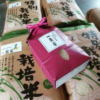 一番星