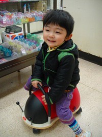 ウィリーバグ