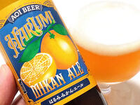 【速報】静岡のみかんを使ったあのアオイビールが入荷♪