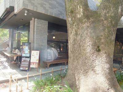 来宮神社　境内　カフェ