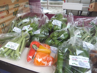 さまざま　オーガニック　夏野菜