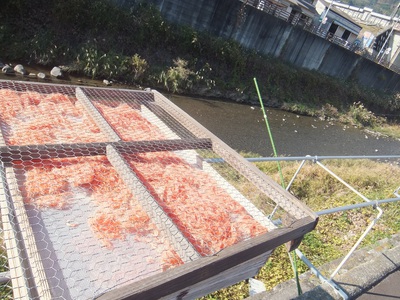 玉舟商店　桜えびのヒゲ