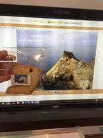 左：馬ロッククッキー、右：日本の奇岩百景認定「馬ロック」