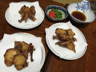 はじめての味