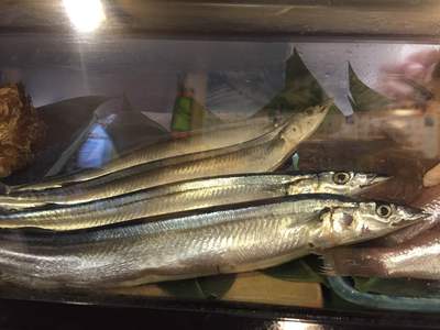 カウンター席から見える　サンマ