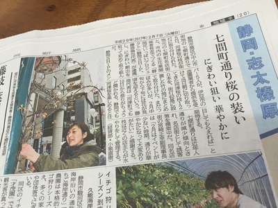 静岡新聞　静岡花いっぱいプロジェクト　星野美佳さん
