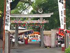 軍神社のお祭り×消防団