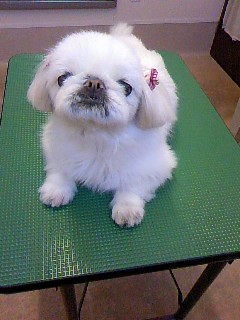 ふんわり☆
