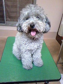 止まらないチュー☆