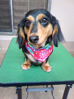 ベストショット☆