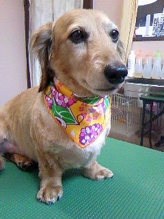 ドキドキ・・・☆