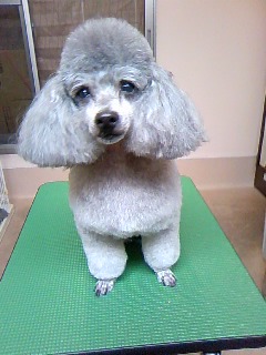 枇杷☆