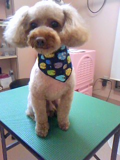 小顔に変身☆