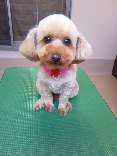 久しぶり～☆