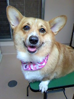ごろーーーん☆