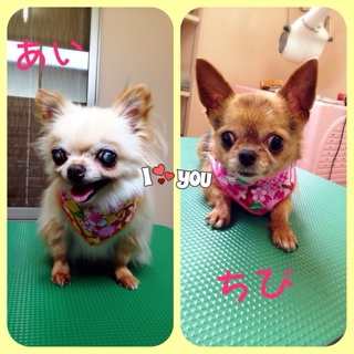 いい香り～☆