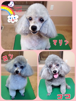 いつも一緒☆