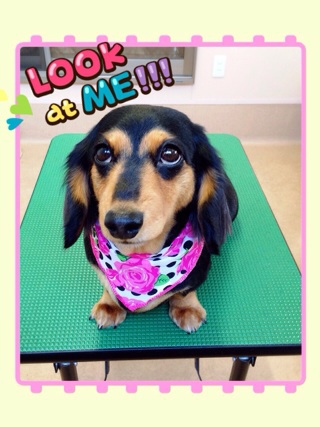 Look!!☆