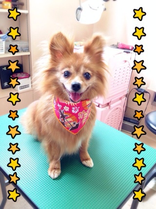 今日は一緒☆