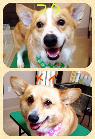 1か月ぶり☆