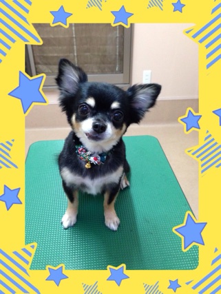 イメチェン☆