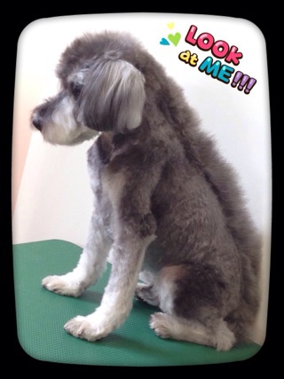 Look!!☆
