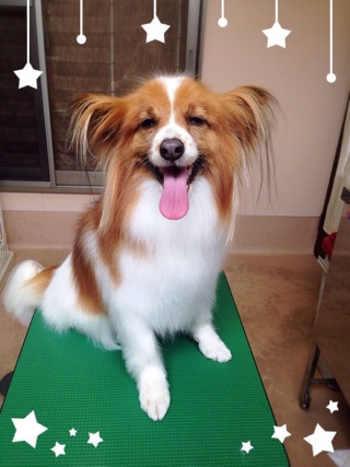 いつも以上に！☆