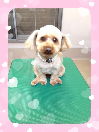 おすわり☆