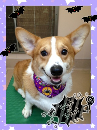 今日はひとり☆