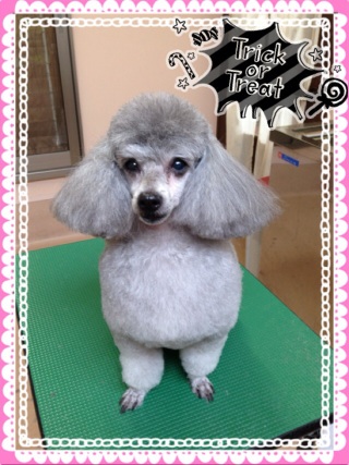 いつもの3親子☆