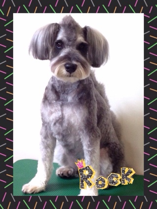 Look!!☆