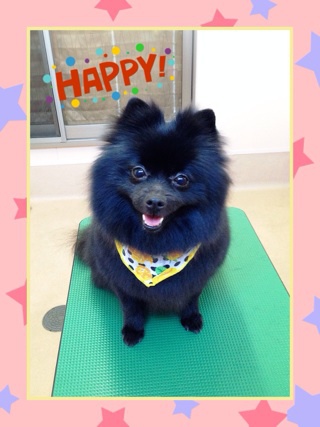 Happy～☆