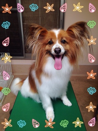 いつも以上に！☆