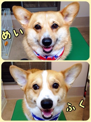 しばらくの間☆