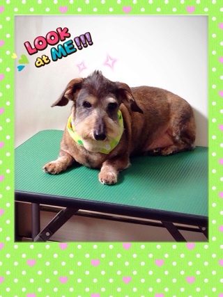 Look！☆