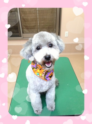 スティッチ好き☆